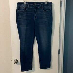 Judy Blue, dark wash, size 20W